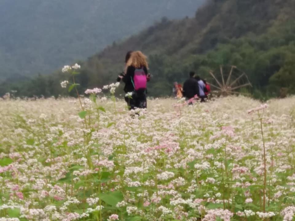 Mai Chau Xanh Bungalow ภายนอก รูปภาพ
