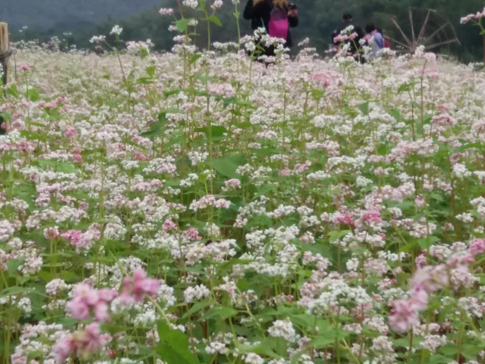 Mai Chau Xanh Bungalow ภายนอก รูปภาพ