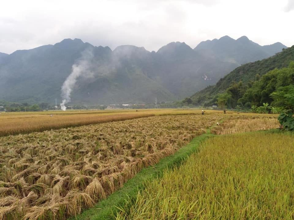 Mai Chau Xanh Bungalow ภายนอก รูปภาพ
