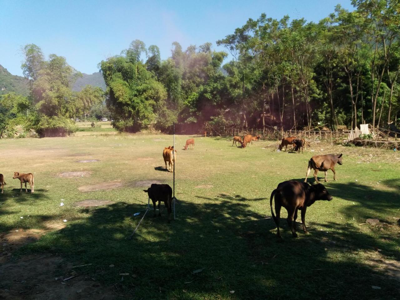 Mai Chau Xanh Bungalow ภายนอก รูปภาพ
