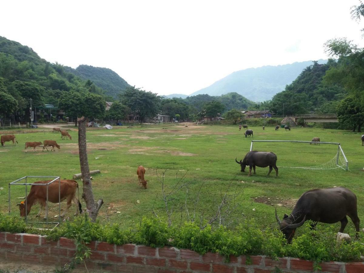 Mai Chau Xanh Bungalow ภายนอก รูปภาพ
